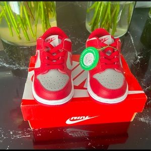 Toddler Dunk Nikes low top